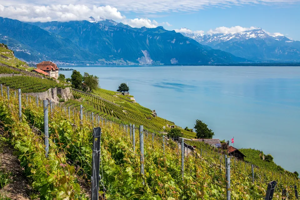 Vaud